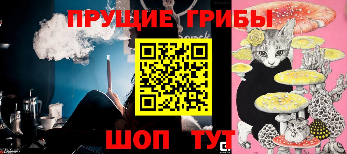 Галлюциногенные грибы Psilocybine cubensis Волгоград