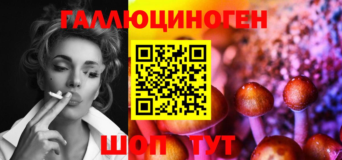 Псилоцибиновые грибы прущие грибы Волгоград