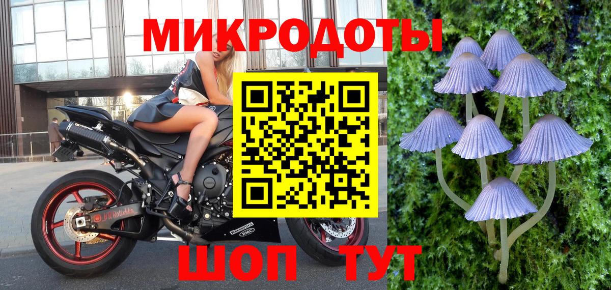 Волгоград  купить закладку  Вход с VPN  Галлюциногенные грибы мухоморы 